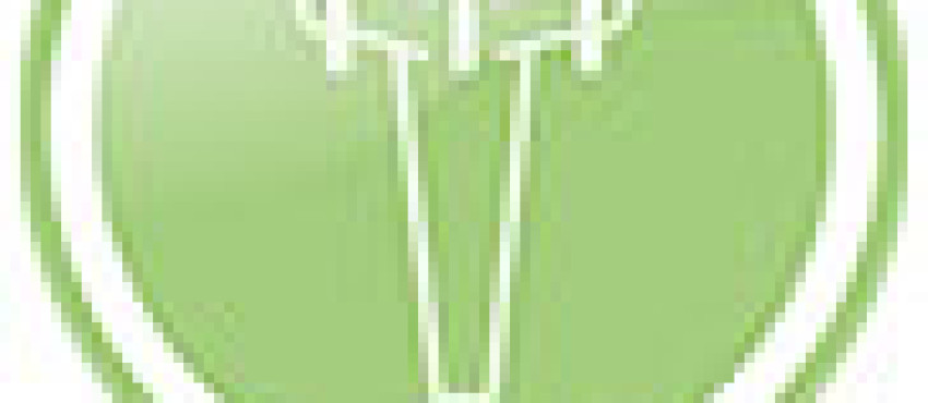 icon-green