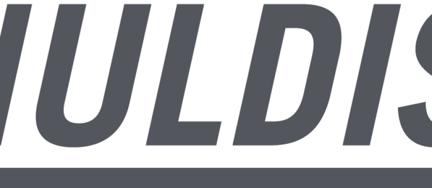Granuldisk